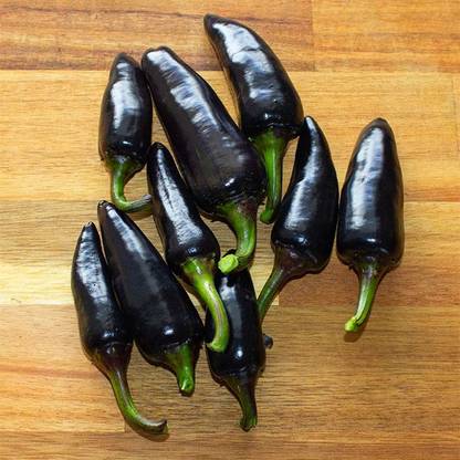 CYBEXIS High Yield Black Chilli Pepper Seeds2400 Seeds Seed