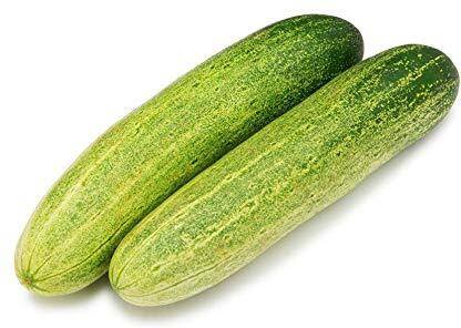 Qualtivate XXX-9A Hybrid Vegetable Cucumber Seed