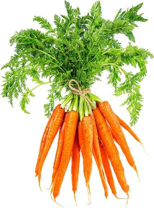 CYBEXIS LXI-90 - Carrot for Planting - (250 Seeds) Seed