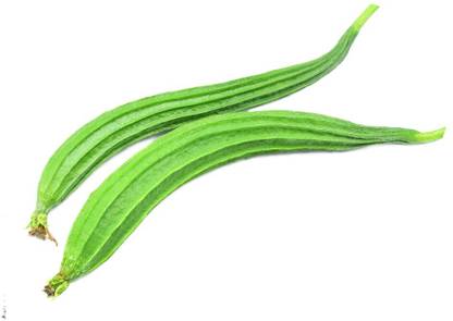 DHENU PRASAD 1915 F1 Hybrid Ridge gourd (turai) Seed