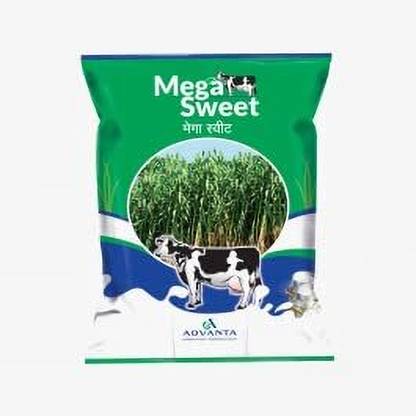 VBB MEGA Sweet Hybrid Seed