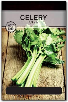 CYBEXIS PUAS-77 - Celery Utah Tall - (250 Seeds) Seed