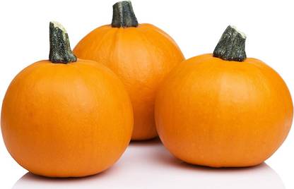 VibeX ® VMR-417 Sugar Pie - Pumpkin Seeds Seed