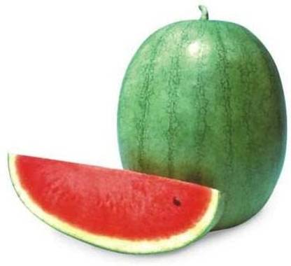 Qualtivate GBPT-1A Hybrid Big Boss Watermelon Seeds Seed