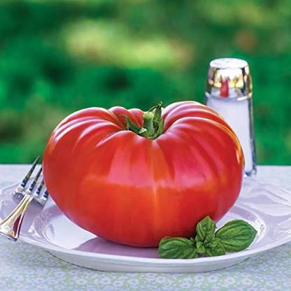 Quentova SteakHouse Large Tomato 1gm Seeds Seed