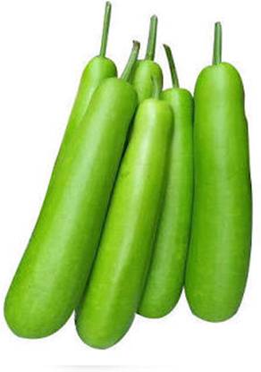CEZIUS GHIYA K BEEJ / LOKI SEEDS Bottle Gourd Seeds | Lauki Dudhi Seed