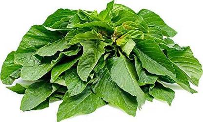 Aywal Green(Amaranthus) Green Saag Cheera Hybrid Spinach Seed