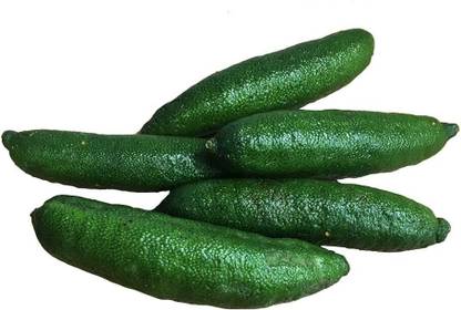 KNESSiN Finger Limes Seeds Seed
