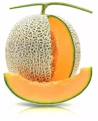 PLUSGREEN Musk Melon/ Cantaloupe/ Hami melon Seed