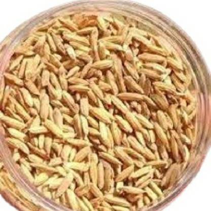 SeeGreen Rice Paddy Seeds, Miniket Paddy For Puja, Germination Paddy Seed