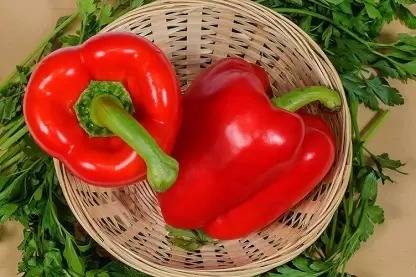 Aro Red Capsicum, Capsicum, Bell Pepper Seed