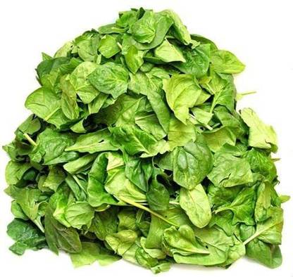 CYBEXIS Vegetable Spinach Medania Seeds-500 Seeds Seed