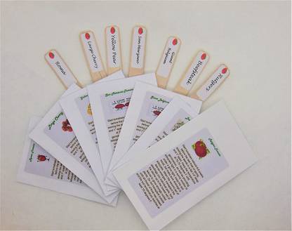 CYBEXIS Ultimate Tomato Lovers Seed Collection - 7 of Our Most Tasty Tomato Seed