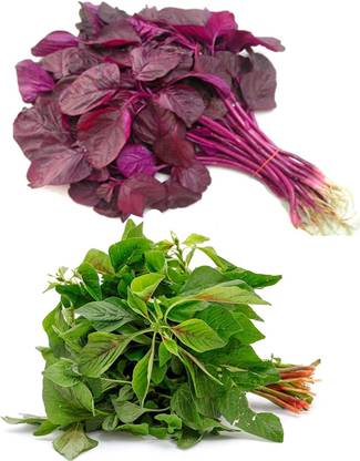 Aywal Amarnathus Red Cholai & Green Cholai, Seed