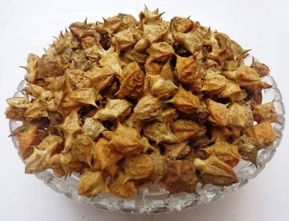 Elysian Enterprises Gokhru Big- Gokharu Bada - Pedalium Murex – Caltrops Seed