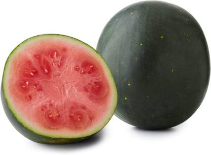 WILLVINE VVI-157 Moon & Stars Watermelon Seeds Seed