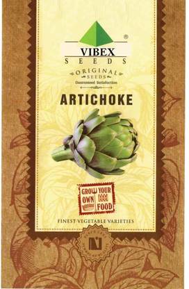 WILLVINE Artichoke Seeds Seed