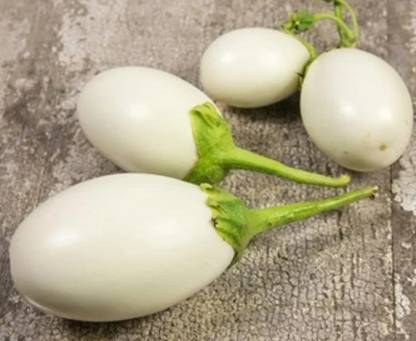 Quentova Japanese White Egg Eggplant Seed