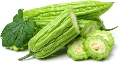 VibeX LX-30 - Bitter Melon Gourd -Balsam Pear - (100 Seeds) Seed