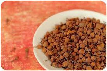 Urancia Natural NagaKesar Red Ochrocarpos longifolius 150g Seed