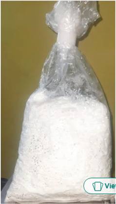 KADER White Oyster Mushroom Spawn 1 Packet PP bags Seed