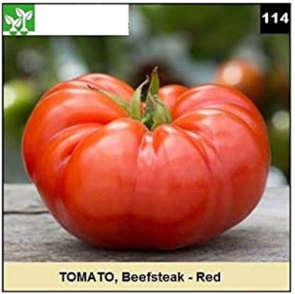 CYBEXIS BEAFSTEAK-RED TOMATO500 Seeds Seed