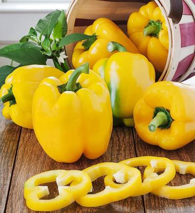 VibeX ® XXL-492 "Sunbright" Yellow Sweet Capsicum Seeds Seed