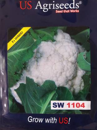 Us Agriseeds Us 1104 Cauliflower Seed