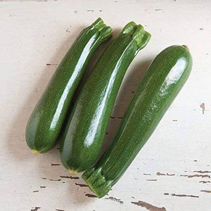 CYBEXIS VXI-70 - Zucchini Dunja (Green) - (225 Seeds) Seed