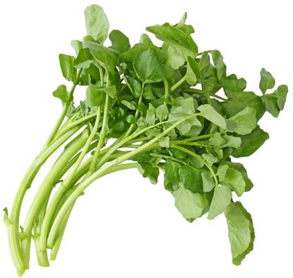 Mozette Organic water cress herb Seed