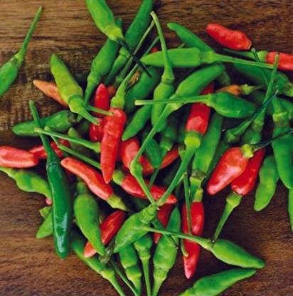 greenfarm NVX- Chilli Seeds / Mirchi Seeds , Best Quality , 280 X Seeds , SAS50 Seed