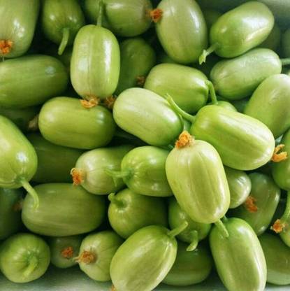 CYBEXIS High-Quality Vegetables Easy Cultivate High-Yield Cucumber Seeds2000 Seeds Seed