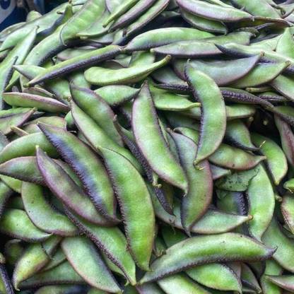 TDFPC Seem, Flat Green Beans, Lima Beans Seed