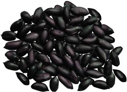 CYBEXIS Black Peanut Seeds Heirloom 500 Seeds Seed