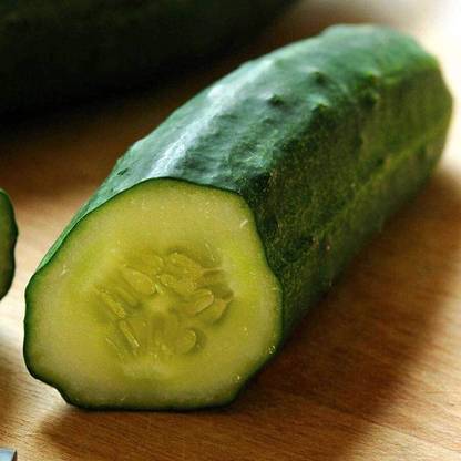 VibeX PAU-28 - Cucumber Patio Snacker - (150 Seeds) Seed