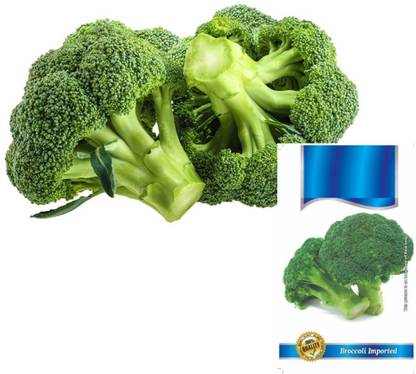 CYBEXIS VXI-2 - Sunking Broccoli - (1350 Seeds) Seed