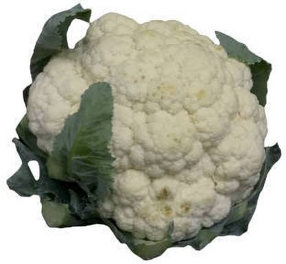 ALPHONSO MANGO TREE white cauliflower,gobhee seeds Seed