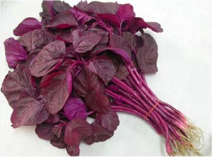 URRO Red Amaranth Chaulai Saag Seed