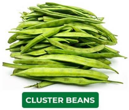 WATIKA Cluster Beans Gavar Seed