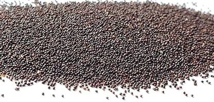 MAA Mint, Pudina, Mentha Seed