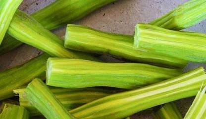 VibeX XLR-91 - Wingless Moringa Drumstick - (450 Seeds) Seed