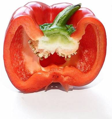 CYBEXIS XL-29 - CAPSICUM Big Red Chili Pepper - (150 Seeds) Seed