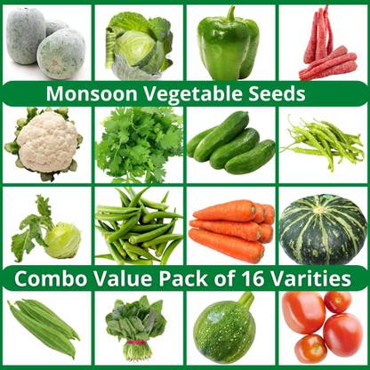 CYBEXIS Rainy Monsoon season Vegetable Combo 16 Varieties Seed