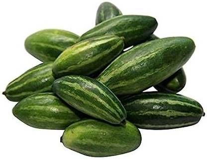 BDSresolve Pointed gourd seeds, pointed gourd vegetable seeds, parwal seeds Seed