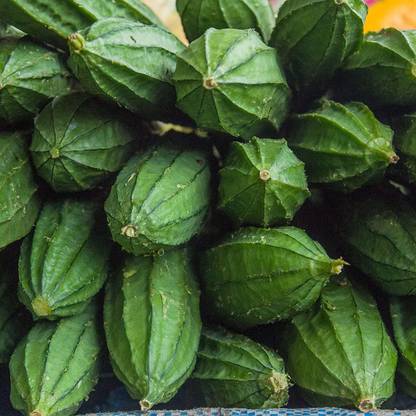 VibeX GUA-15 - Angled Ridge Gourd Turai - (100 Seeds) Seed