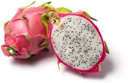 Oliver hybrid dragon fruit seed Seed