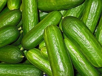 wequality Armenian Cucumber Kakdi/ Cucumber seeds 20 Seed
