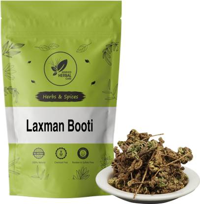 ayurved herbal care Laxman Booti - Lakshman Booti - Selaginella Bryopteris - Guma Seed