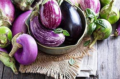 CYBEXIS Mix Varieties Brinjal - Vegetables Seed600 Seeds Seed
