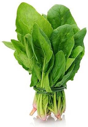 Aywal Spinach Seeds Hybrid, Palak, Palong Saag, Green Leafy Vegetable Seed